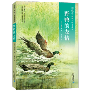 椋鸠十动物小说爱藏本10野鸭的友情 7-10岁 椋鸠十 著 儿童文学