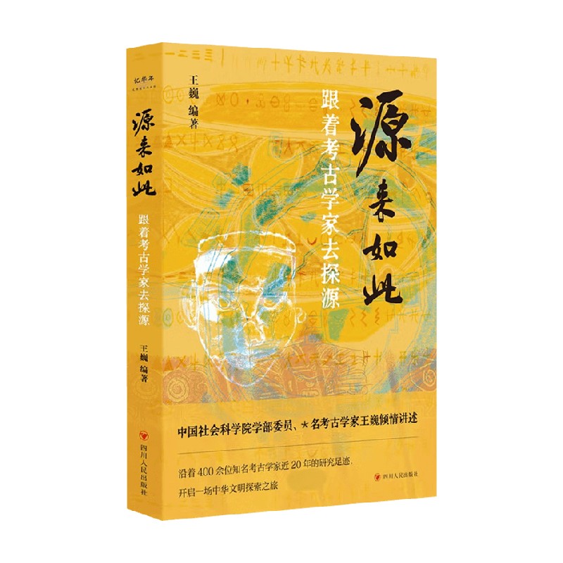 源来如此 跟着考古学家去探源 王巍 编著 历史