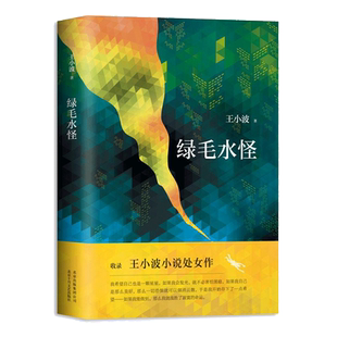 正版 绿毛水怪 王小波 李银河定情之作 黄金时代 中国现当代文学小说随笔散杂文卷夜行记红拂夜奔王小波处女作