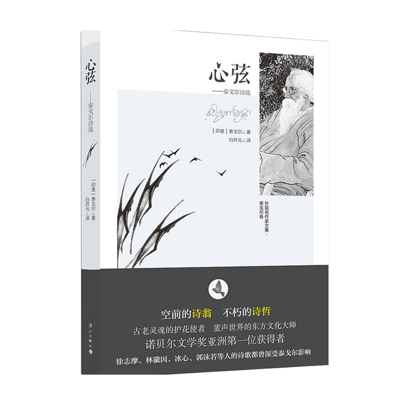 心弦 泰戈尔诗选 泰戈尔 著 文学诗歌