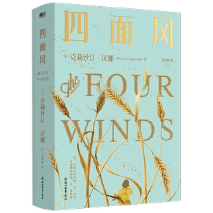 四面风 克莉丝汀.汉娜 著 不被真正爱过的她 能识别爱 珍惜爱和给予爱 小说