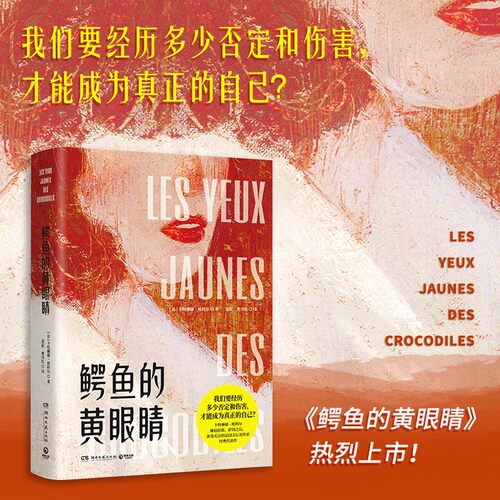 鳄鱼的黄眼睛 卡特琳娜班科尔 著 外国现当代文学小说 女性主义文学代表作 从逆境中寻找重生的希望 励志 - 封面