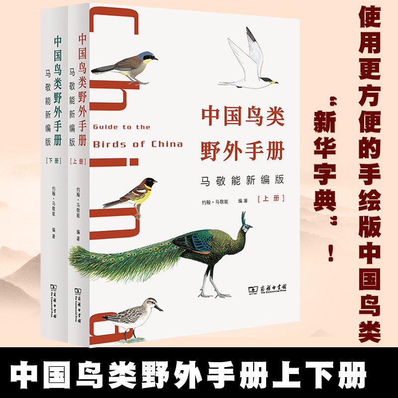 预售中国鸟类野外手册约翰马敬能