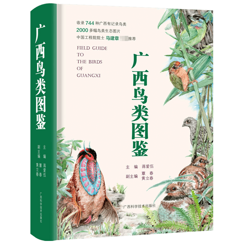 广西鸟类图鉴 系统介绍鸟类知识图书籍 鸟类图鉴鸟类世界鸟类认知 鸟类鉴赏图 华南地区野外观鸟工具书