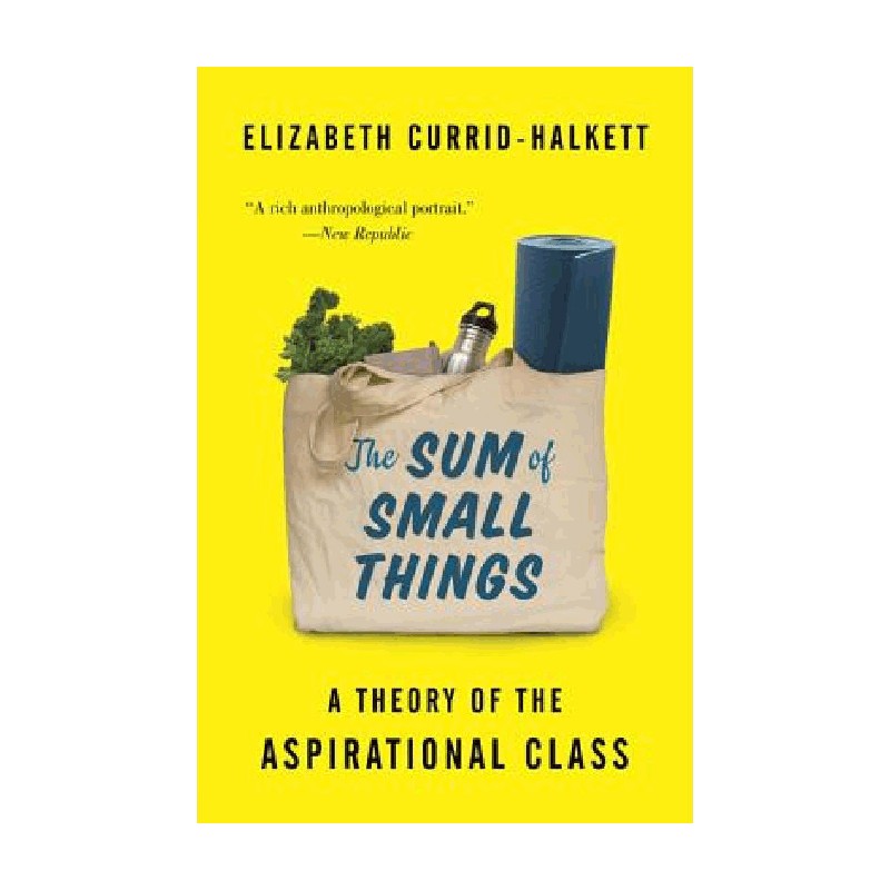 小事的总和The Sum of Small Things 英文原版
