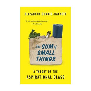 Sum Small Things 小事 英文原版 总和The