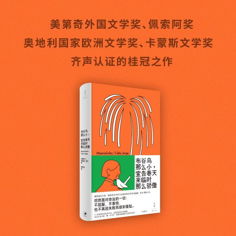 布谷鸟那么小 宣告春天来临时那么骄傲 利迪娅·若热 著 外国文学