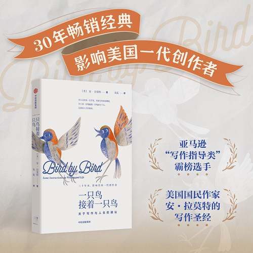 一只鸟接着一只鸟关于写作