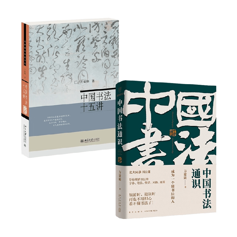 中国书法通识课+中国书法十五讲 方建勋 著 书法技法