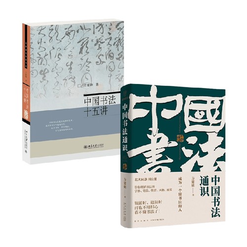 中国书法通识课+中国书法十五讲 方建勋 著 书法技法