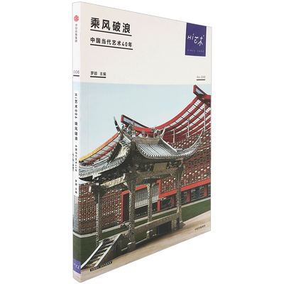 Hi艺术006 乘风破浪 罗颖著 当代艺术史的回顾与梳理 不断突破创新的艺术家个案