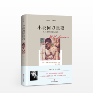 小说何以重要:D.H.劳伦斯非虚构作品集 外国文学理论 中信书店正版书籍