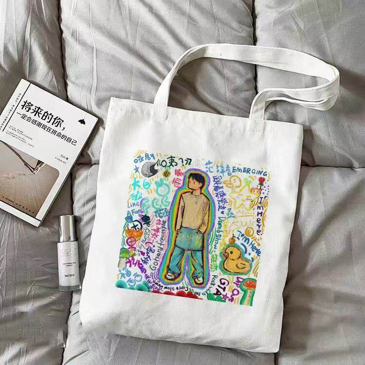 范丞丞周边帆布袋明星高颜值同款单肩包男女学生外出补习袋大容量