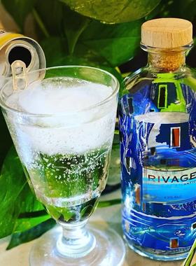 柔和自带果香干邑酒庄出品 法国RIVAGE GIN高帝海岸葡萄金酒调酒