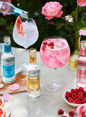 双拼尝新 英国FEVER TREE TONIC芬味树地中海汤力水加印度汤力水