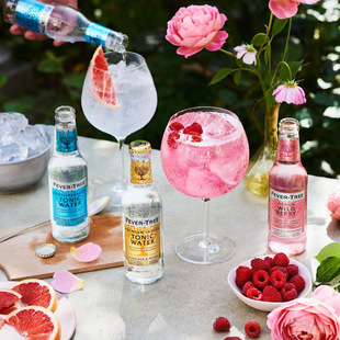 双拼尝新 英国FEVER TREE TONIC芬味树地中海汤力水加印度汤力水