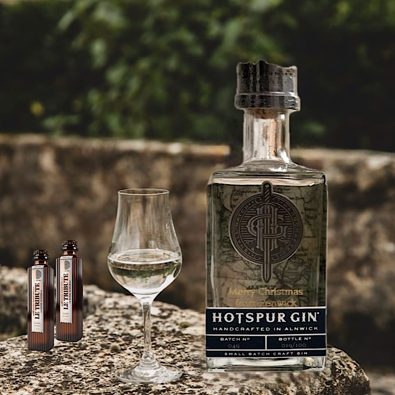 英国霍茨波金酒HOTSPUR GIN融入阿尼克城堡的爵士精神适合纯饮