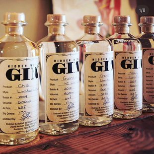GIN适合纯饮杜松子酒 PEATED 新西兰神话泥煤金酒HIDDEN WORLD
