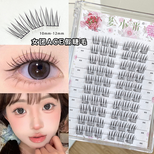 ace女团睫毛淡颜自然仿真多小米韩系爱豆款 根根分明单簇上假睫毛