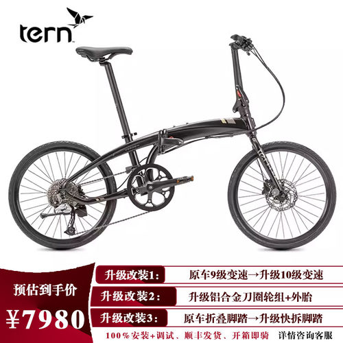 Tern燕鸥VergeD9折叠车451轮径