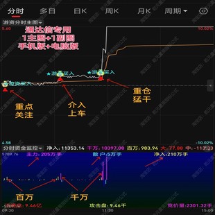 2025通达信股票游资主力资金异动追踪监控吸筹分时图做T指标神器