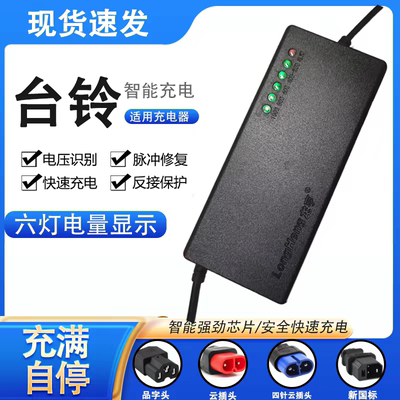 龙亨自动断电电动车充电器48V60V72V60V铅酸电池通用