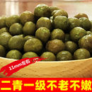 原产定远发货2025芡实新鲜鸡头果鸡头米籽带壳二青一级