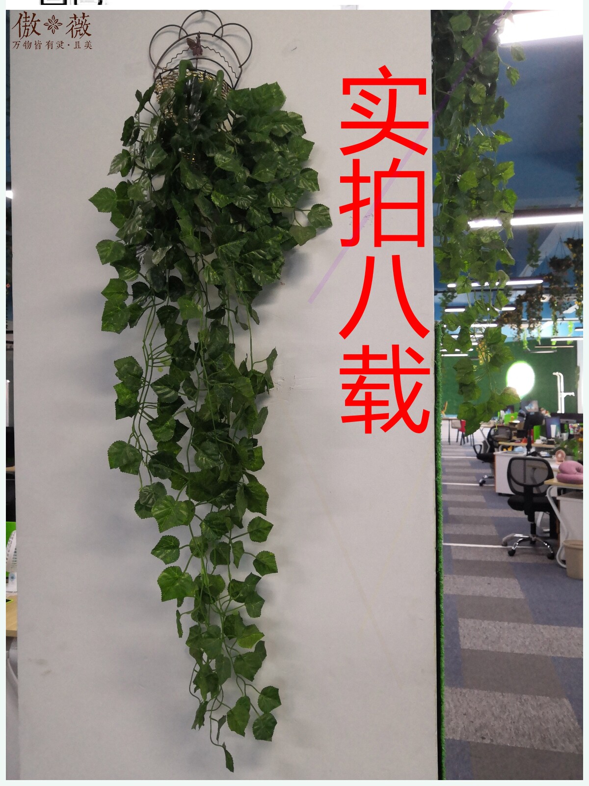 新飞海尔容声冰箱通用鸡蛋搁架鸡蛋盒固定鸡蛋架鸡蛋收纳盒买就送