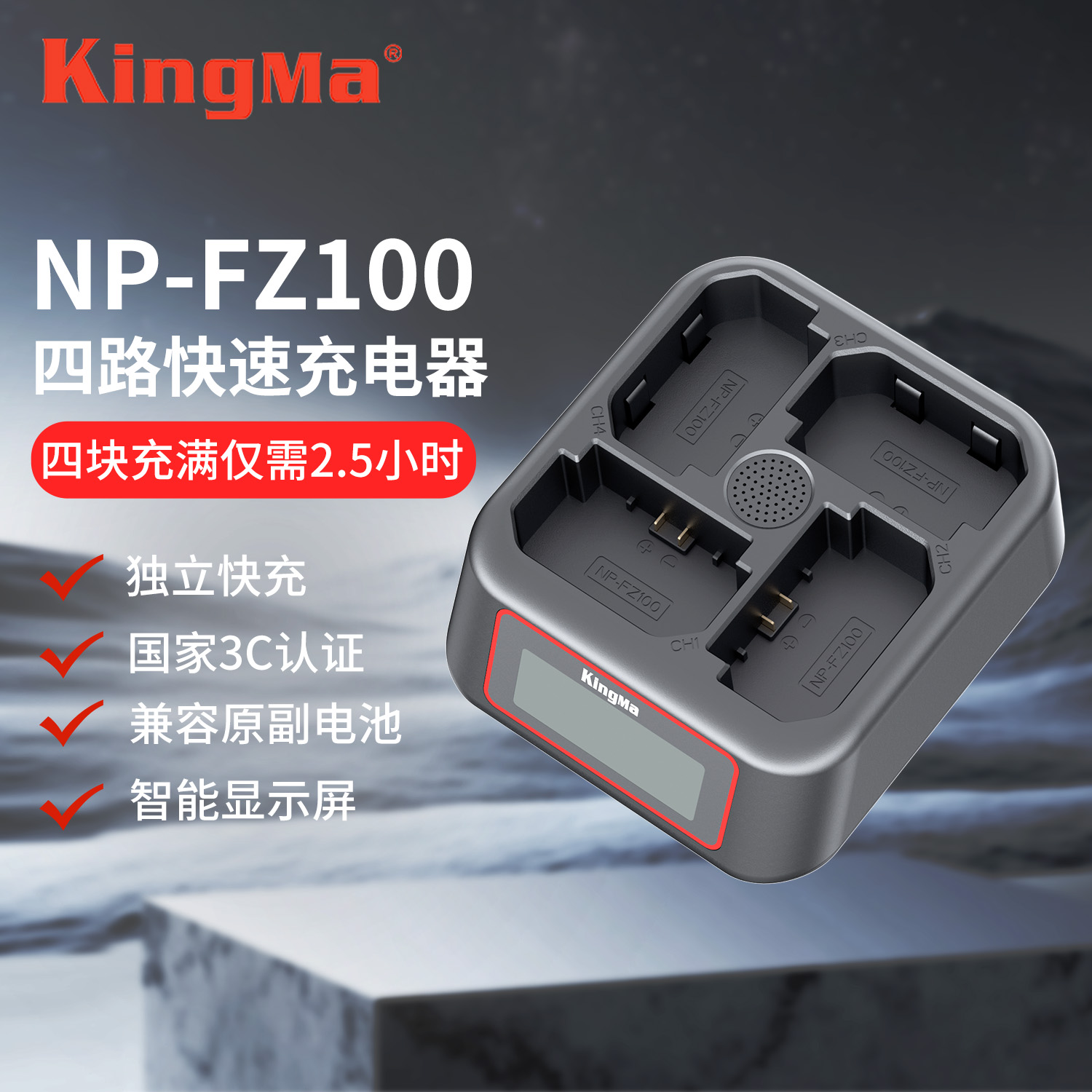 劲码NP-FZ100相机电池快充器