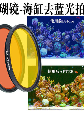 单反相机珊瑚镜拍摄海水鱼缸77mm