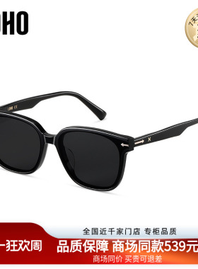 LOHO商场同款太阳眼镜GM防紫外线墨镜高级感新款黑框LH41602