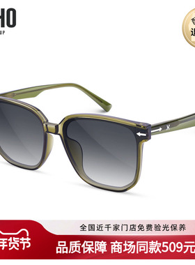 LOHO商场同款太阳镜2023年时尚防紫外板材大框墨镜男女LH13614
