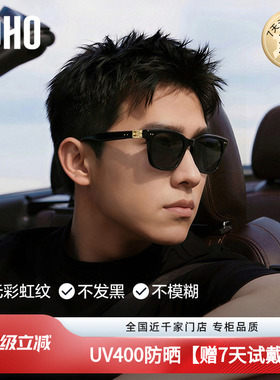 高清成像偏光大框墨镜男女同款