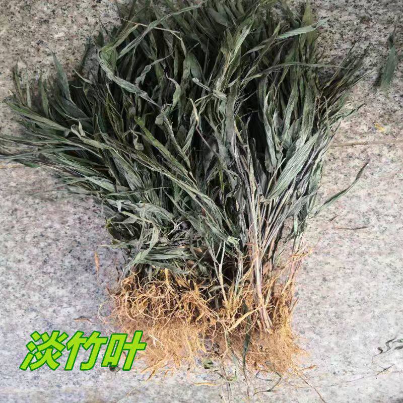 福建龙岩武褐竹叶竹叶