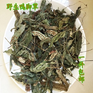 开胃消食鹅掌金星草草药煲汤食材250g 免邮 鸭脚草 客家鸭掌草 费