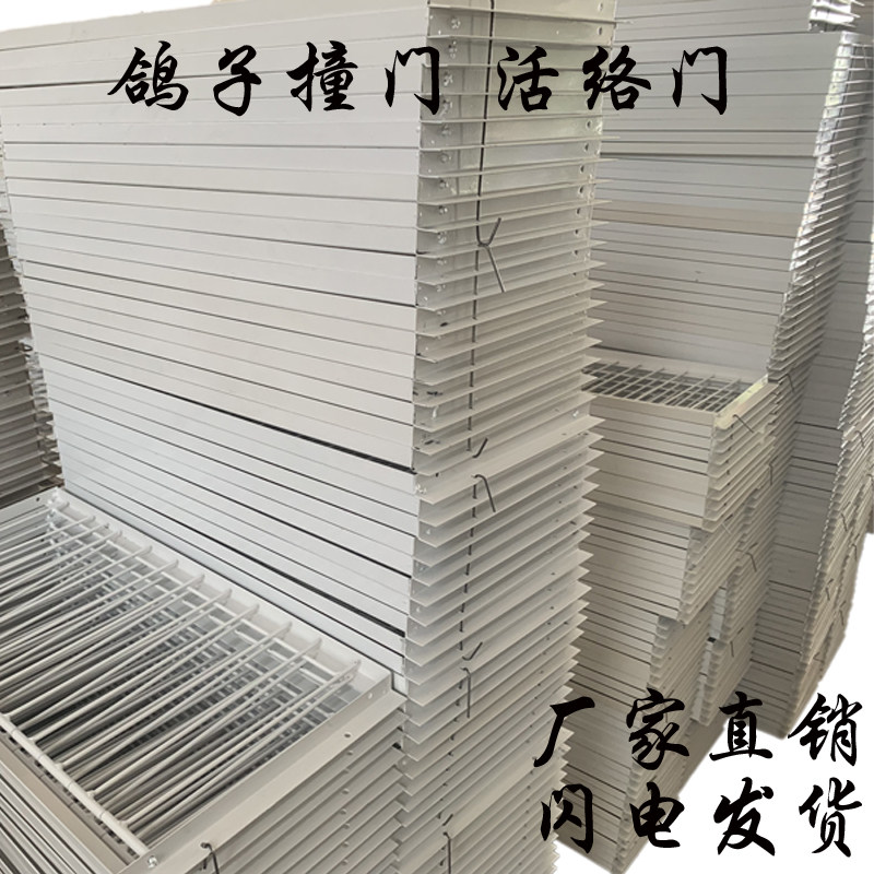 鸽子进出口加密活络门鸽子撞门只