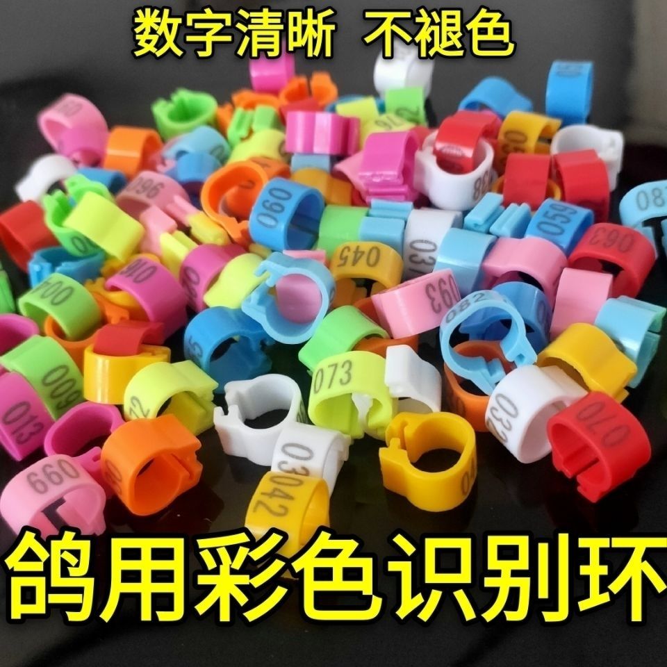 活扣鸽子脚环圈定制记号环信鸽数字识别环用品环信鸽卡环