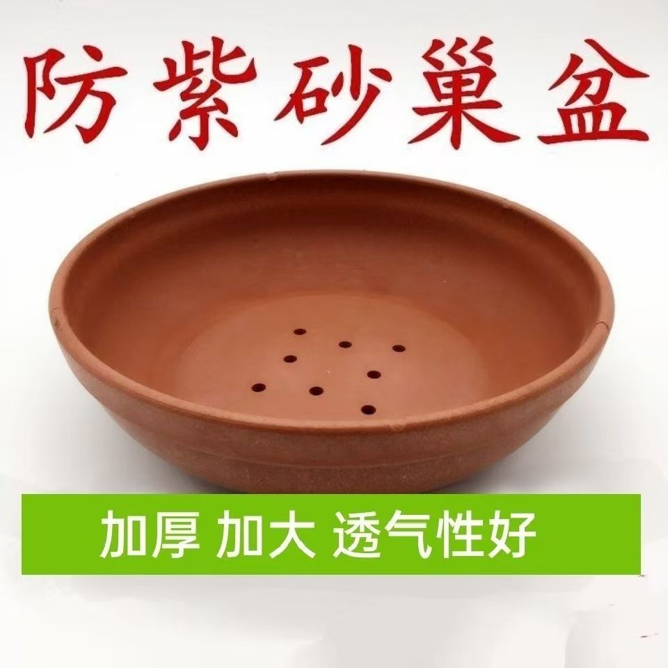 鸽子用品用具鸽子窝鸽子垫布垫棕垫信鸽赛鸽用具鸽具大全鸽窝垫子