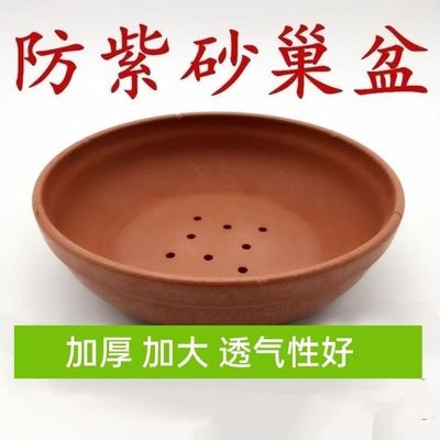 鸽子用品用具鸽子窝鸽子垫布垫棕垫信鸽赛鸽用具鸽具大全鸽窝垫子
