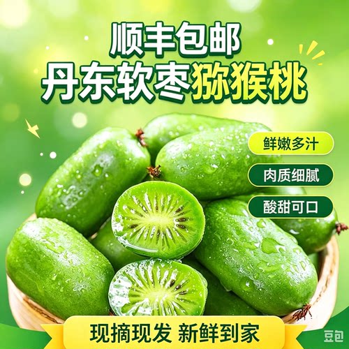 丹东特产软枣小猕猴桃奇异莓
