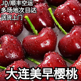 正宗大连美早樱桃车厘子新鲜水果国产车厘子2j3j4j脆甜大樱桃 包邮
