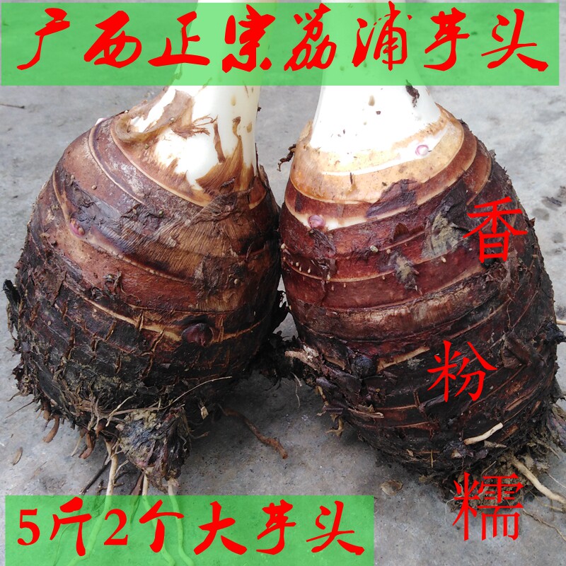 正宗广西荔浦芋头紫藤香芋新鲜农家蔬菜槟榔香芋毛芋头包邮