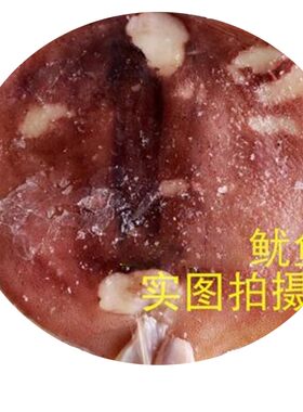 土耳其鱿鱼延边特产啤酒菜