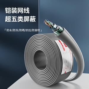 防鼠咬超五六类铠装屏蔽户外网线