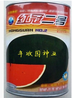 黑色西瓜种子二号三号爱花黑皮