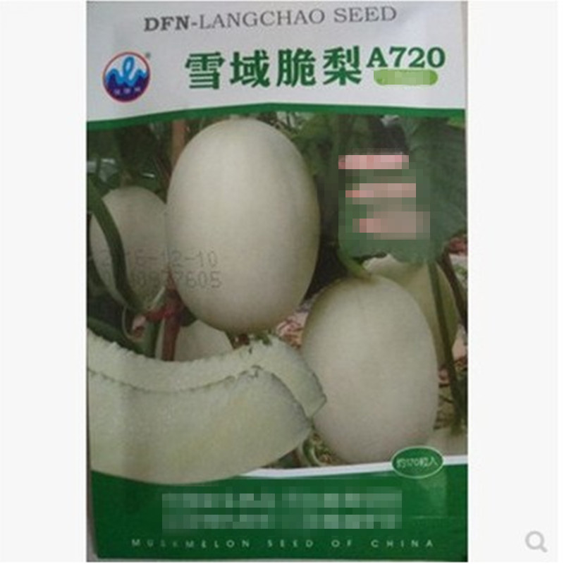 雪域脆梨甜瓜种子雪丽脆甜瓜早熟白皮白肉适应性肉质多汁