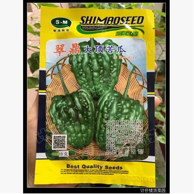 翠鼎大顶苦瓜种子春秋苦瓜种子春秋大顶苦瓜种子澄选珍珠苦瓜种子