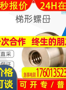 工厂直采 德国 PFAFF SILBERBLAU普法夫 梯形螺母 TGM-LFM