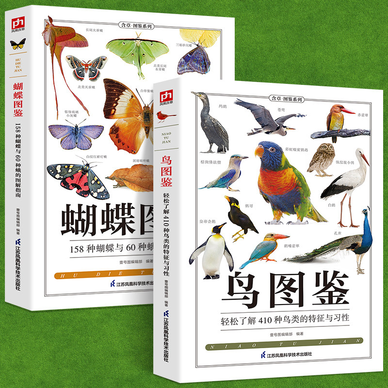 森林草原野鸟形态世界蝴蝶名录图鉴蝴蝶品种图鉴学生动物百科科普阅读