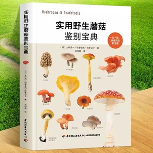 野生蘑菇使用图鉴书籍 吹春俊光 食用蘑菇菌菇松茸菌类野生菌野生毒蘑菇识别方法采书蘑菇百科书籍 大作晃一 实用野生蘑菇鉴别宝典
